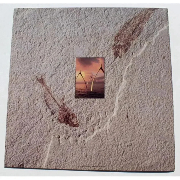 Vintage RUSH 1991-1992 ROLL THE BONES Tour Concert Program Book Neil Peart - Picture 5 of 5